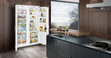 Có nên mua tủ lạnh 2 cánh không? Đánh giá chi tiết về tủ lạnh 2 cánh