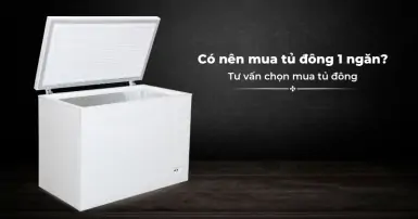 [Tư vấn] Có nên mua tủ đông 1 ngăn sử dụng trong gia đình?