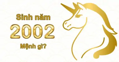 Sinh năm 2002 mệnh gì? Hợp và kỵ tuổi với con giáp nào?