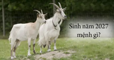 Người sinh năm 2027 mệnh gì? Tuổi Đinh Mùi hợp tuổi nào, màu và hướng nào?