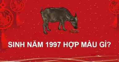Sinh năm 1997 mệnh gì, tuổi con gì, hợp màu sắc và tuổi nào?