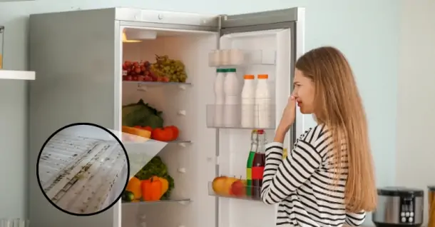 Hướng dẫn cách vệ sinh tủ lạnh bị mốc hiệu quả, thực hiện ngay tại nhà