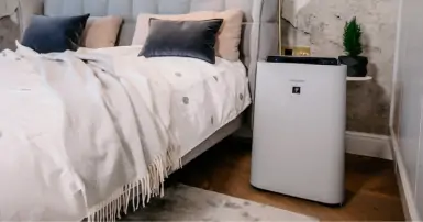 Top 5 máy lọc không khí Sharp nên mua hiện nay