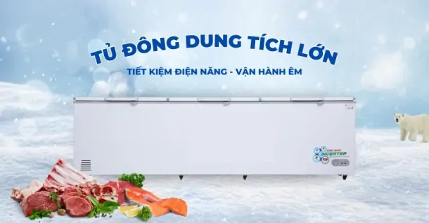 TOP 5 tủ đông dung tích lớn tiết kiệm điện, vận hành êm đáng cân nhắc