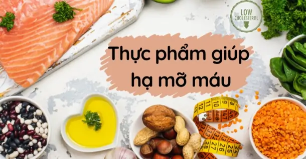 Những thực phẩm giúp hạ mỡ máu hiệu quả, nên bổ sung vào thực đơn gia đình