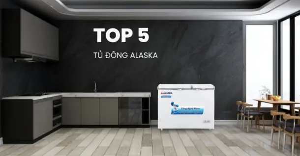 Top 5 tủ đông Alaska bán chạy tại Siêu Thị Điện Máy – Nội Thất Chợ Lớn