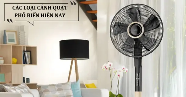 Các loại cánh quạt phổ biến hiện nay