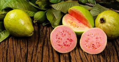 Công dụng của ổi đối với sức khỏe