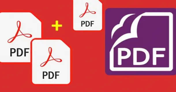 Bật mí cách ghép file PDF nhanh chóng, tiết kiệm