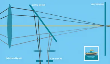 Công nghệ lấy nét theo pha (PDAF) là gì?