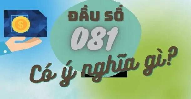 Đầu số 081 là mạng gì, ý nghĩa và có nên sử dụng không?