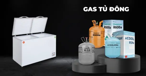 Tổng hợp các loại gas trong tủ đông phổ biến trên thị trường