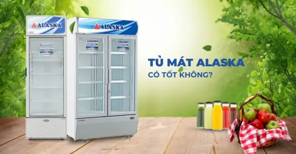 Tủ mát Alaska có tốt không? Có nên lựa chọn tủ mát Alaska?