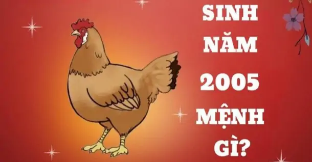 Sinh năm 2005 mệnh gì? Tổng quan cuộc sống nam, nữ 2005