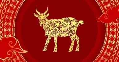 Tuổi Mùi sinh năm bao nhiêu? Tính cách, sự nghiệp và tử vi