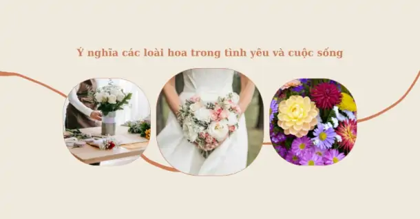 Ý nghĩa các loài hoa trong tình yêu và cuộc sống