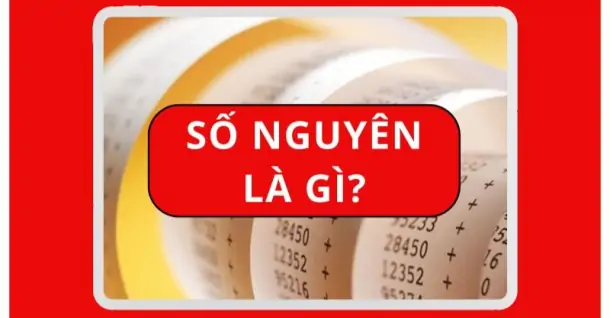 Số nguyên là gì? Đặc điểm, phân loại và ứng dụng trong toán học