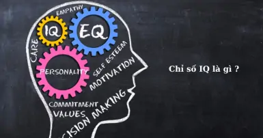 Chỉ số IQ là gì? IQ bao nhiêu là bình thường?