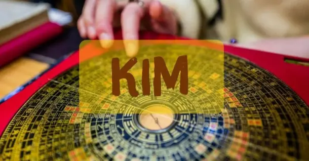 Mệnh Kim hợp cây gì? 20+ loại cây giúp mệnh Kim hút tài đón lộc