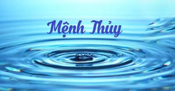 Mệnh Thủy hợp cây gì? 20+ loại cây giúp mệnh Thủy hút tài đón lộc