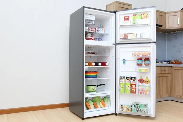 Nên mua tủ lạnh Electrolux hay Sanyo?