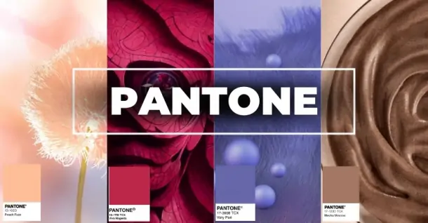 Pantone là gì? Hệ màu Pantone có gì khác biệt so với RGB và CMYK