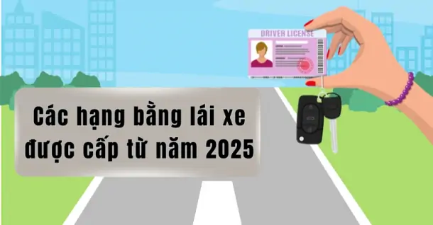 Các hạng bằng lái xe sẽ được cấp kể từ năm 2025