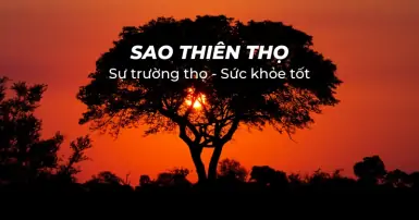 Sao Thiên Thọ là gì? Luận giải ý nghĩa trong cung Mệnh và các cung khác