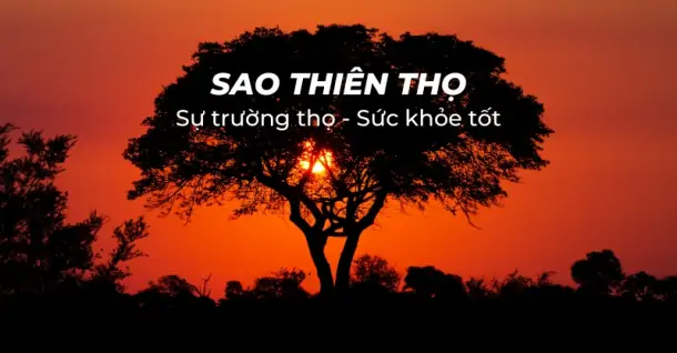 Sao Thiên Thọ là gì? Luận giải ý nghĩa trong cung Mệnh và các cung khác