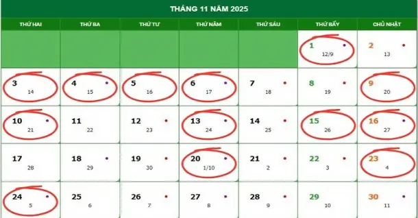 Ngày tốt tháng 11/2025 để cưới hỏi, khai trương, xuất hành