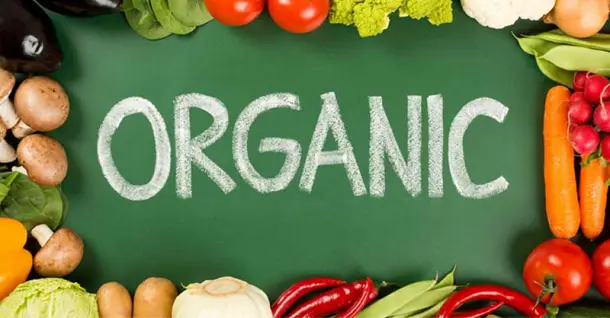 Organic là gì? Các loại thực phẩm organic phổ biến