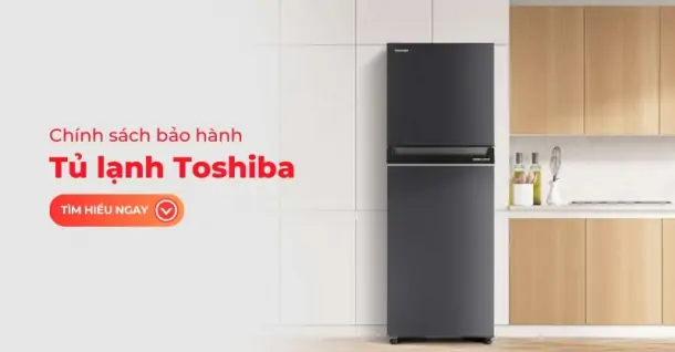 Chính sách bảo hành tủ lạnh Toshiba - Các điều khoản bạn nên nắm rõ