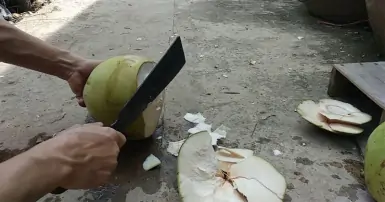Cách chặt dừa và lấy cơm dừa tại nhà đơn giản, ít tốn sức