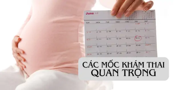 Các mốc khám thai quan trọng mà mẹ bầu cần lưu ý