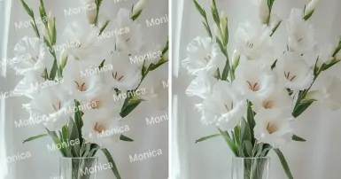 Cách xóa watermark trong ảnh đơn giản, hiệu quả - Bạn đã biết chưa?