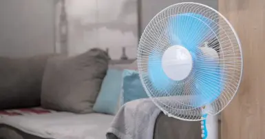 Công dụng của quạt điện: giải pháp làm mát hiệu quả cho mọi nhà
