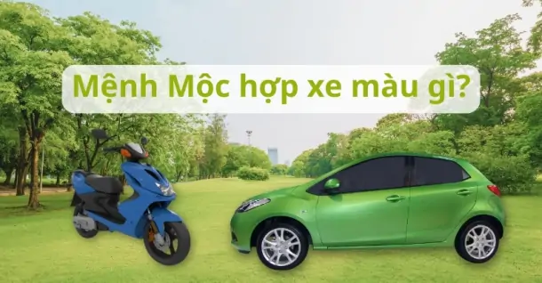 Mệnh Mộc hợp xe màu gì? Bí quyết chọn màu xe rước tài lộc