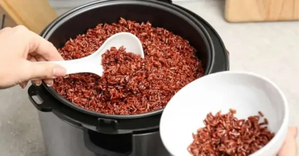 Cách nấu gạo lứt bằng nồi áp suất điện thơm ngon, tiện lợi