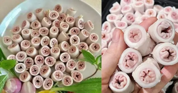 Lòng se điếu là gì? Cách phân biệt lòng se điếu thật giả