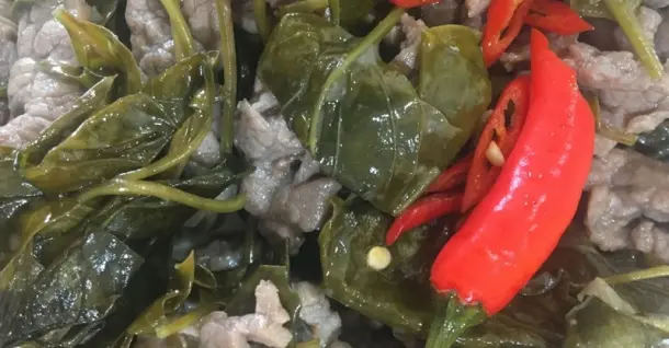 Cách làm thịt bò xào lá giang chua thanh, cay cay cực bắt cơm