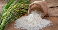 Nồi cơm điện nấu được bao nhiêu gạo là đúng chuẩn?