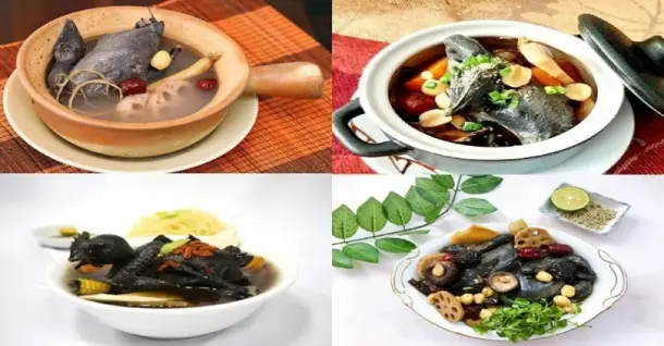 Gà ác nấu gì ngon? 10 công thức nấu món ăn từ gà ác