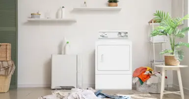 Máy Sấy Speed Queen của nước nào?