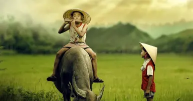 Những câu ca dao tục ngữ Việt Nam - Tinh hoa văn hóa dân tộc