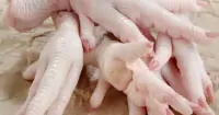 Cách chọn mua chân gà ngon, đảm bảo an toàn vệ sinh