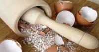 Vỏ trứng có tác dụng gì? Khám phá công dụng bất ngờ ít ai biết