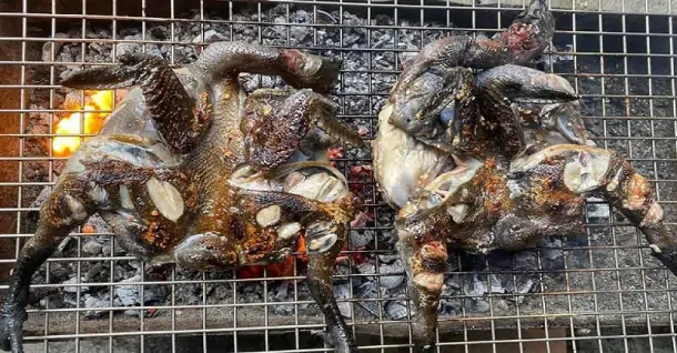 Cách làm gà ác nướng muối ớt cay thơm nồng cực hấp dẫn