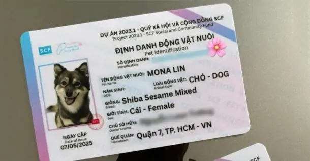 Cách đăng ký thẻ định danh thú cưng nhanh chóng, chuẩn xác