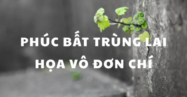 Phúc bất trùng lai họa vô đơn chí: Ý nghĩa sâu sắc về bài học đời người