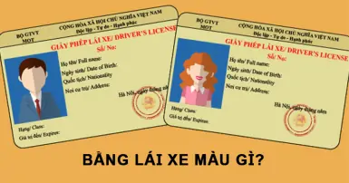 Bằng lái xe màu gì? Tất tần tật những điều cần biết